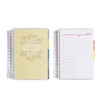 Toile Stripe A5 Daily LifePlanner™ Duo