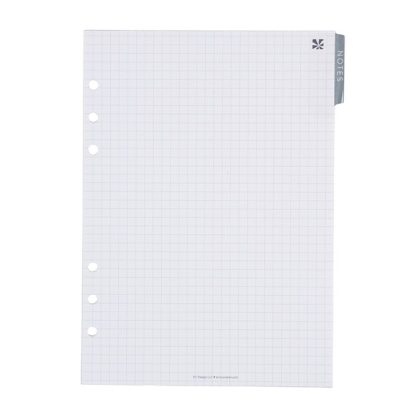 Graph Pages A5 Ring Agenda Inserts