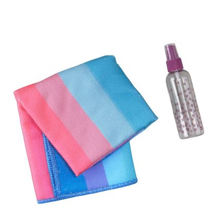 Cleaning Spray and Wipe Duo