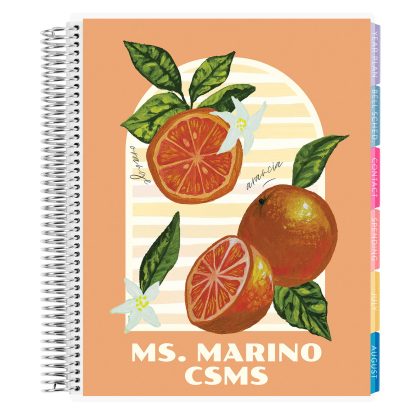 Mediterranean Teacher Lesson Planner
